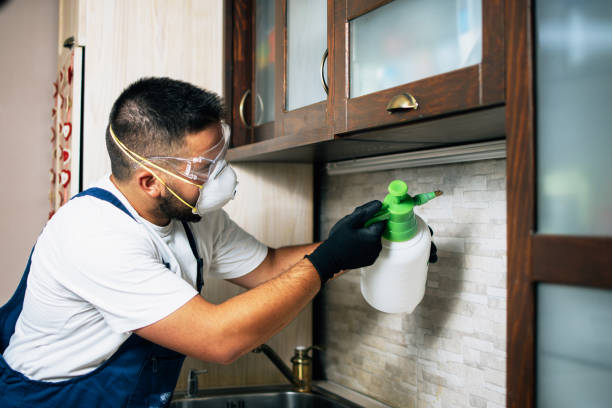Trusted Sloan, NY Pest Control Experts