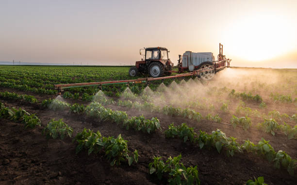 Pest Control Cost in Sloan, NY