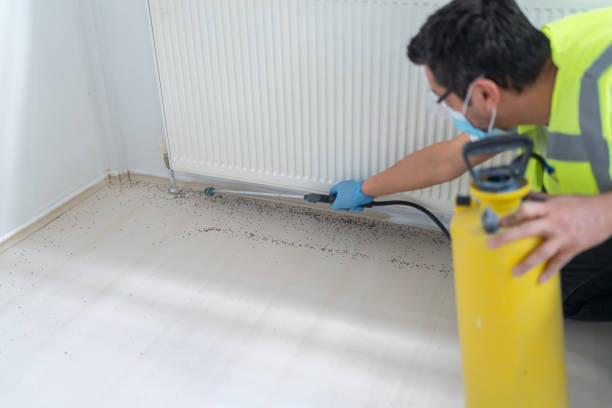 Best Emergency Pest Control  in Sloan, NY